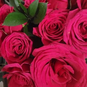 Meet your Posher, Lea